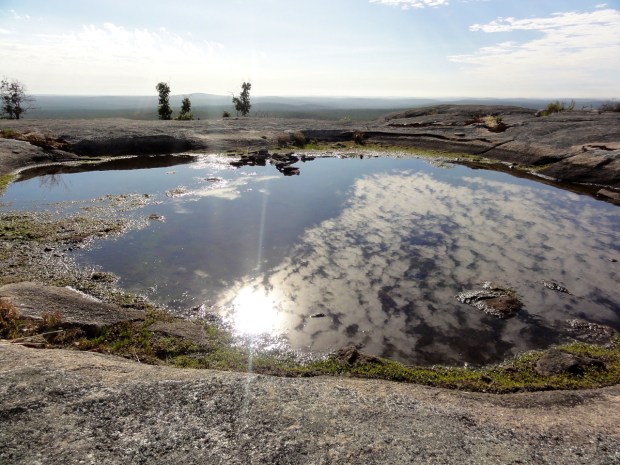 2011-12-31 at 07-37-34