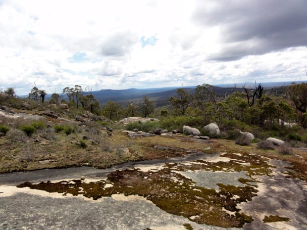 2011-10-08 at 12-14-20