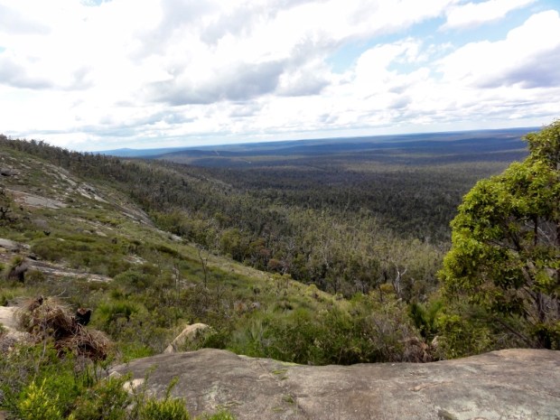 2011-10-08 at 13-08-20