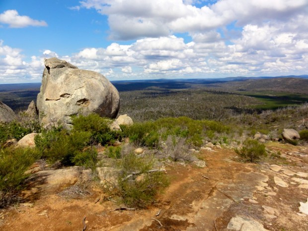 2011-10-08 at 13-11-40