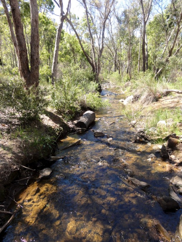 2011-11-19 at 14-20-04