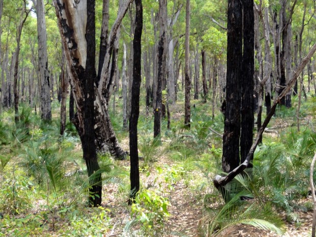 2011-12-30 at 13-29-47