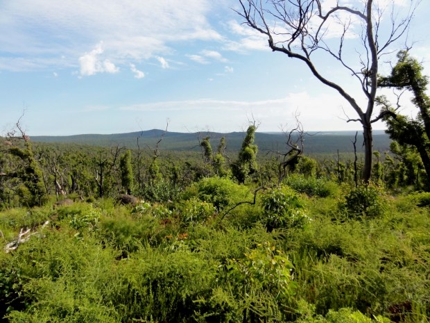 2011-12-31 at 07-19-56