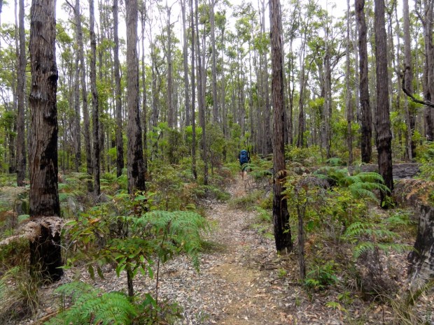 2012-01-01 at 08-54-56