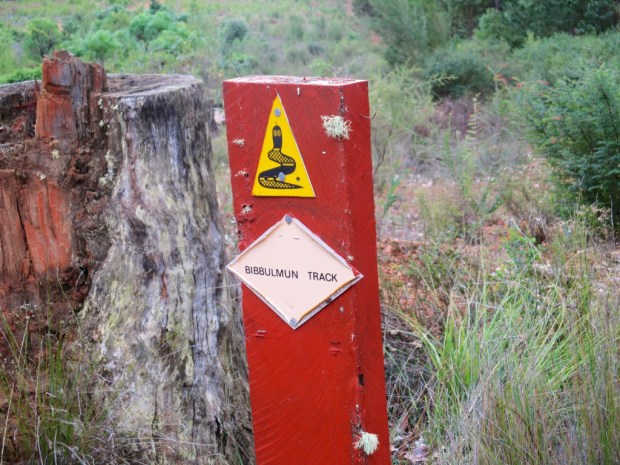 2013-06-01 at 12-08-47