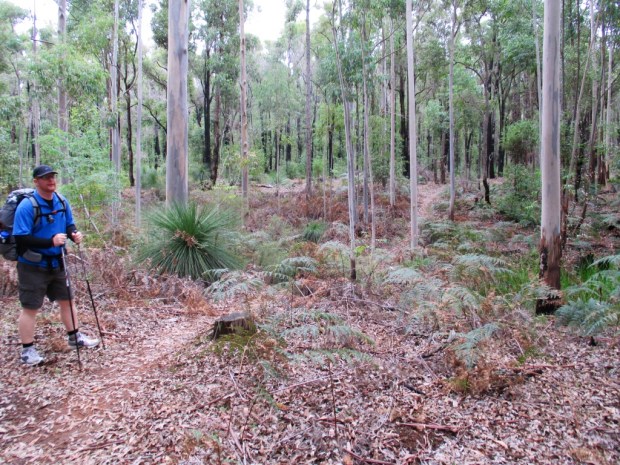 2013-06-01 at 12-13-38