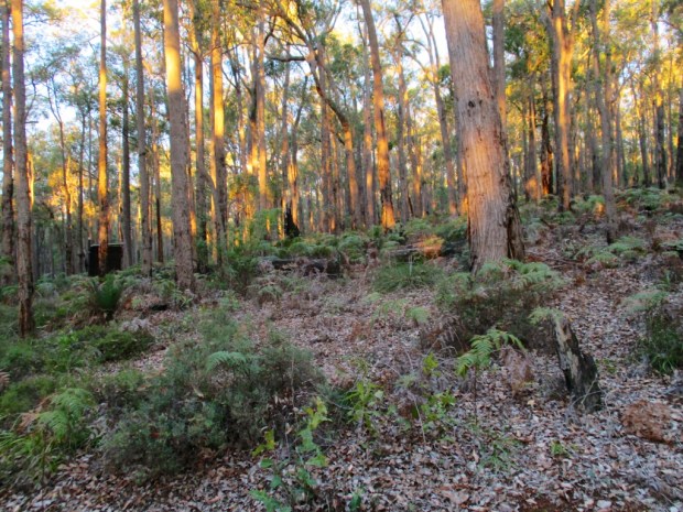 2013-06-03 at 17-01-40