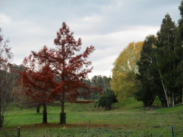 2013-06-04 at 14-31-06