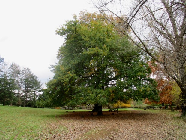 2013-06-05 at 10-54-32