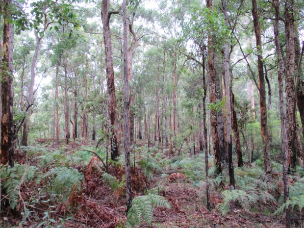 2013-06-07 at 10-43-53