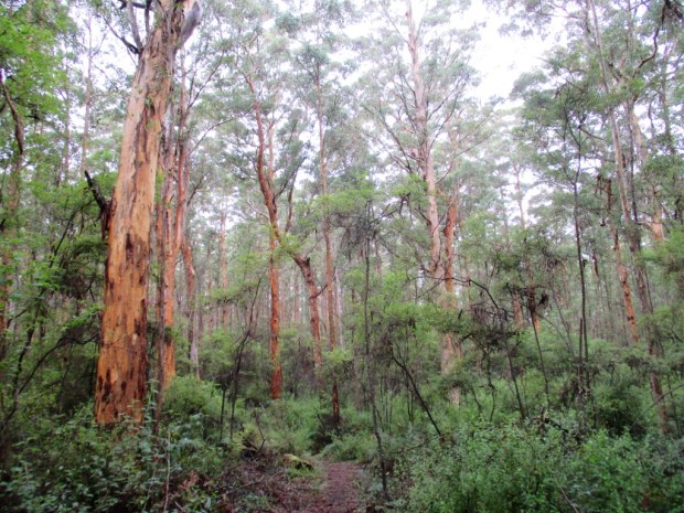 2013-06-07 at 12-00-20